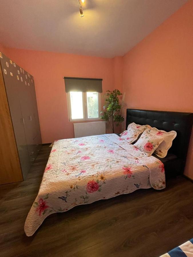 Right Choice Room Anvers Extérieur photo